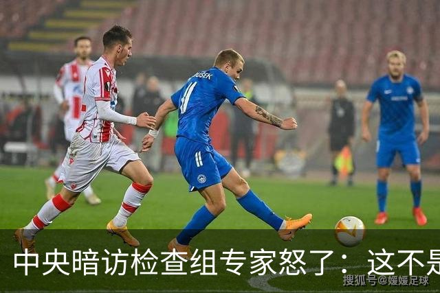 中央暗访检查组专家怒了：这不是开玩笑吗？
