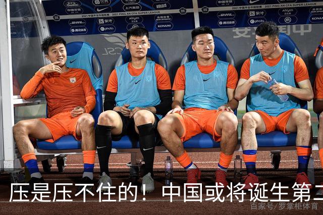 压是压不住的！中国或将诞生第二个华为