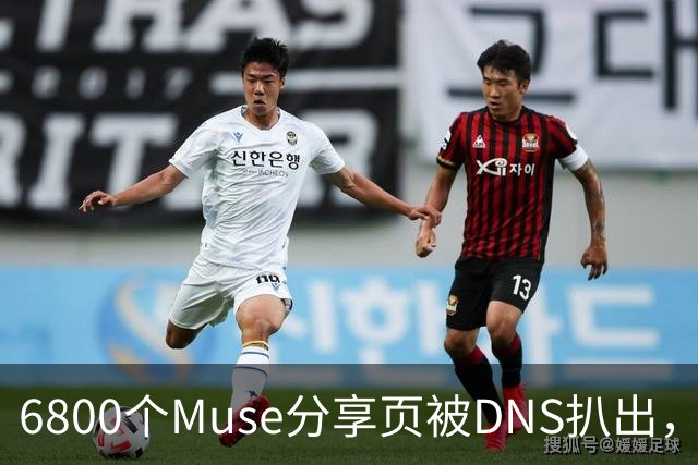 6800个Muse分享页被DNS扒出，Meta紧急暂停